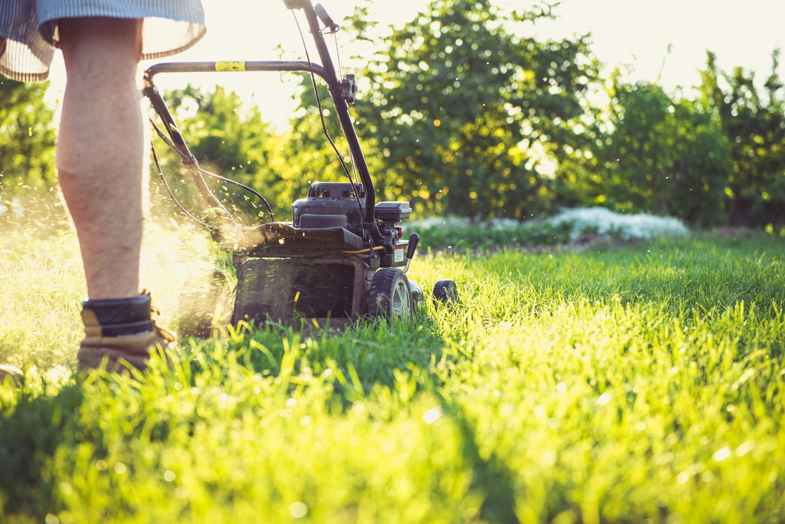 a person mowing grass who knows to scoop before you mow