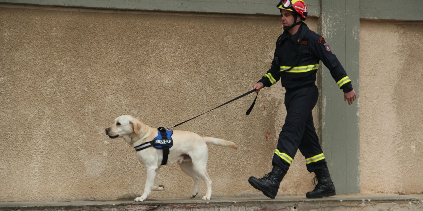 A white dog being walked on a leash by a worker in black emergency clothes for pet preparedness