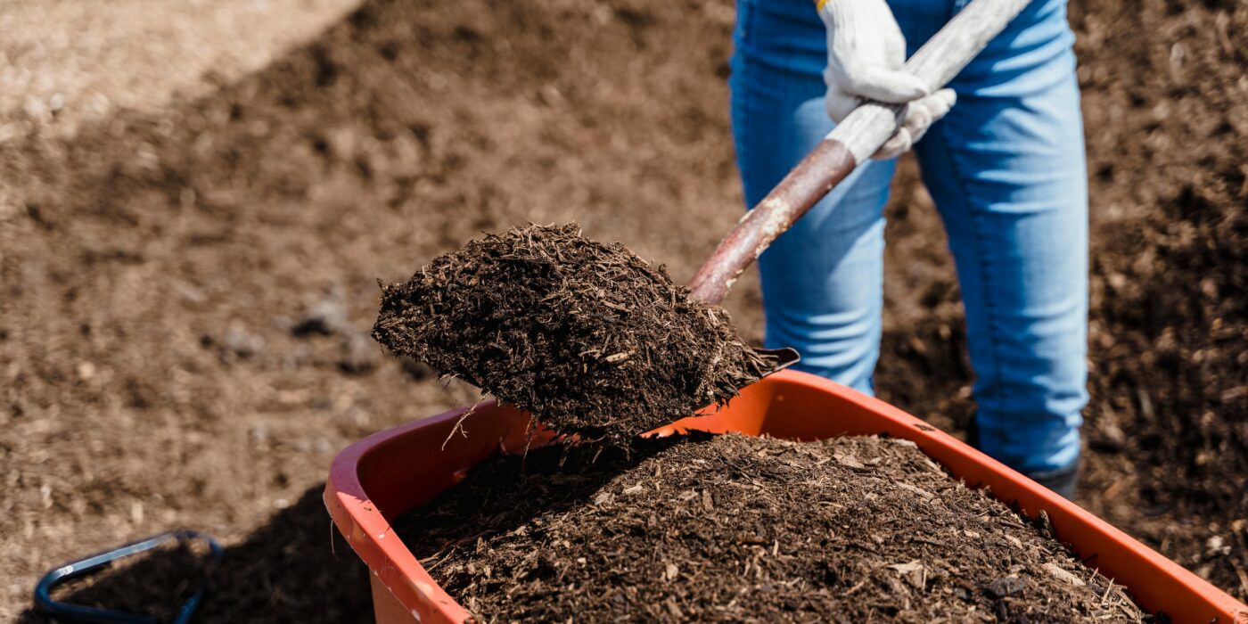 A gardener shoveling brown compost determining if pet waste composting is safe