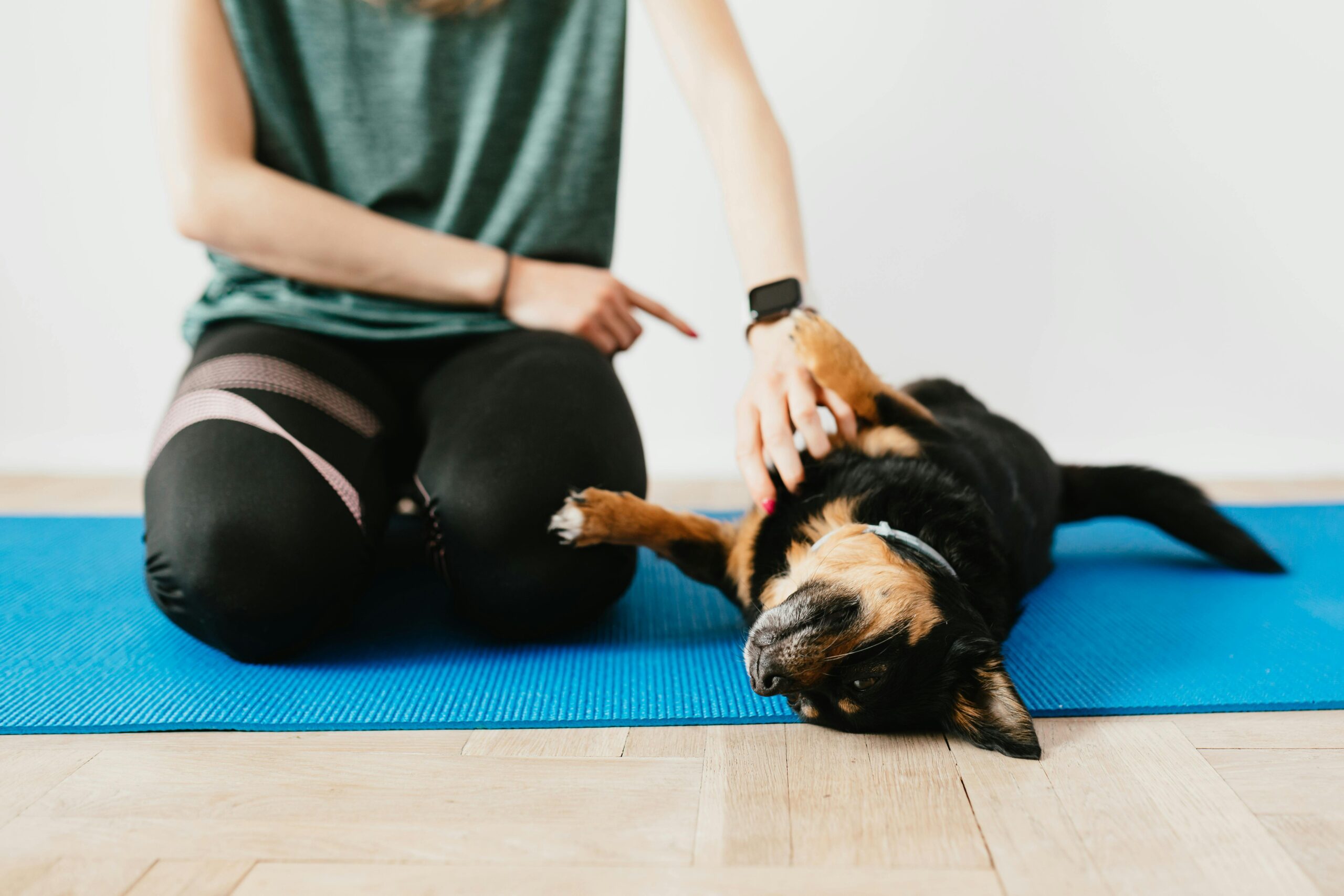 A dog owner helping a black and brown dog laying on the floor with dog behavioral issues