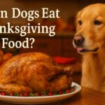 A golden retriever sits at a kitchen counter staring eagerly at a roasted Thanksgiving turkey on a plate, surrounded by fall decorations including pumpkins and autumn leaves. Festive text reads “Can Dogs Eat Thanksgiving Food?” on the left side of the image, with warm golden lighting and a cozy holiday atmosphere.