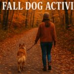 A woman wearing a cozy fall sweater and beanie walks her dog along a leaf-covered forest trail surrounded by vibrant orange and golden autumn trees. The dog walks calmly beside her on a leash as they follow the peaceful wooded path. Bold text across the top reads, “Fun Fall Dog Activities.”